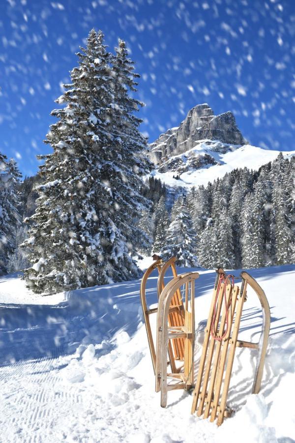 Parkareal - Utoring-13 By Interhome * Davos